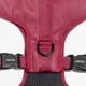 thumbnail image 2 of Zeedog Medium Air Mesh Plus Harness Bordeau | Talla M, 2 of 3