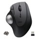 thumbnail image 1 of Trackball ELECOM Ergonomic Comfort IST inalámbrico 2,4 GHz negro, 1 of 9