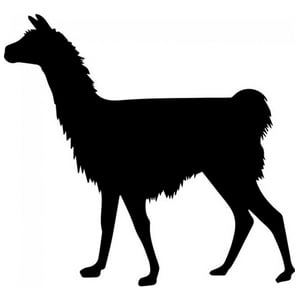 Rienda Libre Graphics - Decomural Llama Wild Animals Ws-32899