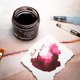 thumbnail image 2 of Tinta Premium para Pluma Estilográfica Private Reserve Ink 60 ml Negro Cereza, 2 of 4