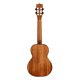 thumbnail image 2 of Ukelele Tenor Ka-CT-SMH-TG Kala, 2 of 4