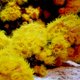 thumbnail image 4 of Ioduro para arrecifes Seachem 500 ml, 4 of 4