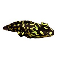 Magideal - Muñeco De Peluche Axolotl, Muñeco De Peluche Axolotl, Juguete De Peluche Axolotl Cómodo Y Abrazable De 17,72 Pulgadas Para Adolescentes, Adultos Y Niñ Verde