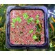 thumbnail image 1 of Alimentador magnético para peces NestBasics de 10 cm con anillo flotante, 1 of 8