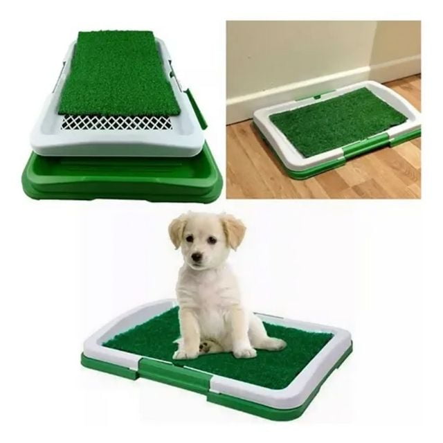 Baño Ecológico Sanitario Mascotas Talla M / Adiestramiento