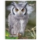 thumbnail image 5 of Cuaderno Universitario Fauna 100 Hojas  / Producto surtido, 1 Un, 5 of 9