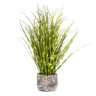 Planta Decorativa Mini Grass Zebra 36 cm