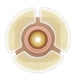 thumbnail image 5 of Extensores de barrera Hollister Adapt 79402 CeraPlus (caja con cantidad), 5 of 7