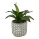 thumbnail image 1 of Planta agave artificial, 1 of 4