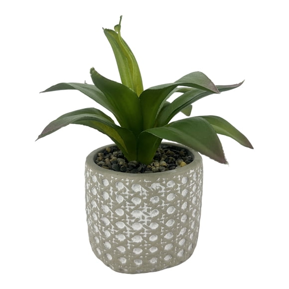 Planta agave artificial