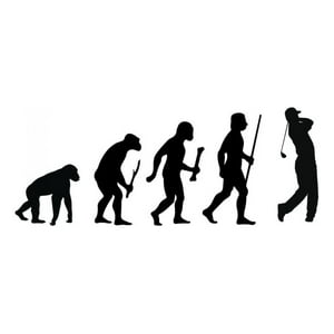 Rienda Libre Graphics - Decomural Evolution Golf Ws-42940