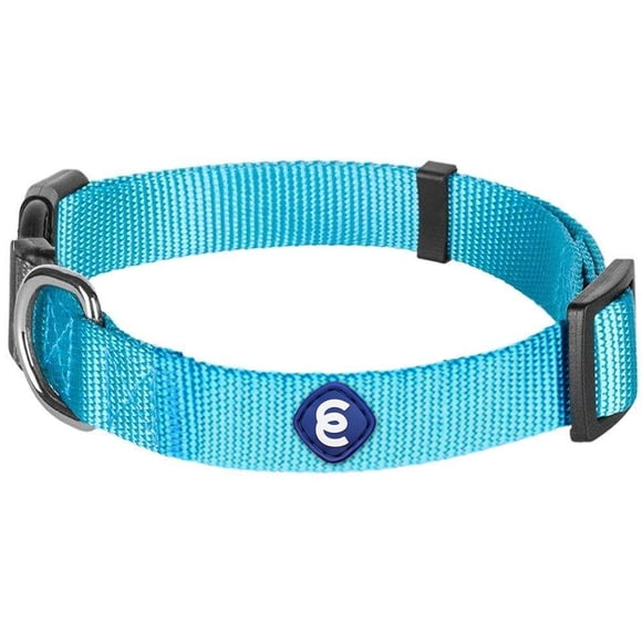 Collar para perro Blueberry Pet Essentials X-Small de nailon turquesa