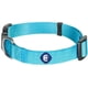 thumbnail image 1 of Collar para perro Blueberry Pet Essentials X-Small de nailon turquesa, 1 of 8