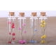 thumbnail image 5 of Botellas de vidrio MaxMau de 20 ml con tapones de corcho (24 unidades), 5 of 7