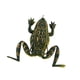 thumbnail image 2 of Señuelo De Rana Para Pesca, Anzuelos Resistentes Y Resistentes Para La Pesca De Lubina, Trucha, Lucio, Verde Oscuro, 2 of 5