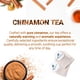 thumbnail image 2 of Tea LeafLea Cinnamon 40 bolsitas de té 100% natural sin cafeína, 2 of 9