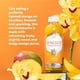 thumbnail image 3 of Botella de 473 ml Organic SYNERGY Mystic Mango de Kombucha GT, 3 of 7