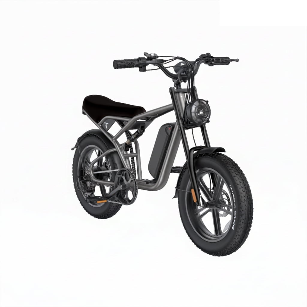 E-Bike SHENGTE DYZ Dual Motor 3000w