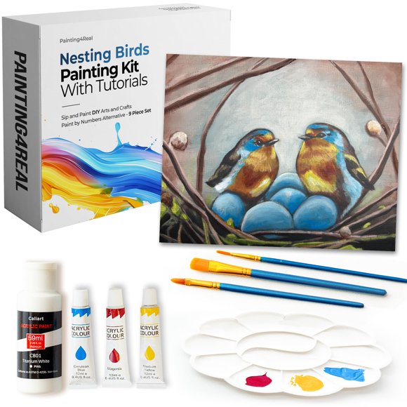 Kit de pintura acrílica DIY Nesting Birds de Painting4Real, 9 piezas