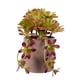 thumbnail image 1 of Suculenta en Flor en Maceta de Cemento, 1 of 3