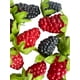 thumbnail image 2 of Pack De 20und Frambuesa Realistas, 2 of 3