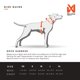 thumbnail image 3 of Arnés para perro Non‑stop dogwear XS negro/naranja, 3 of 9