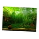 thumbnail image 5 of Cartel Del Fondo Del Acuario Del PVC, Prenda Impermeable 61x30cm Del Paisaje De Las Plantas Del Acuario De Peces, 5 of 5