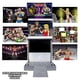 thumbnail image 2 of Set de juego de figuras de lucha Figures Toy Company 60 cm × 62 cm, 2 of 6