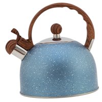 Bothyi - Hervidor De Té De Acero Inoxidable, Hervidor De Agua, Grado Alimenticio Para Té, Café, Leche, Etc.