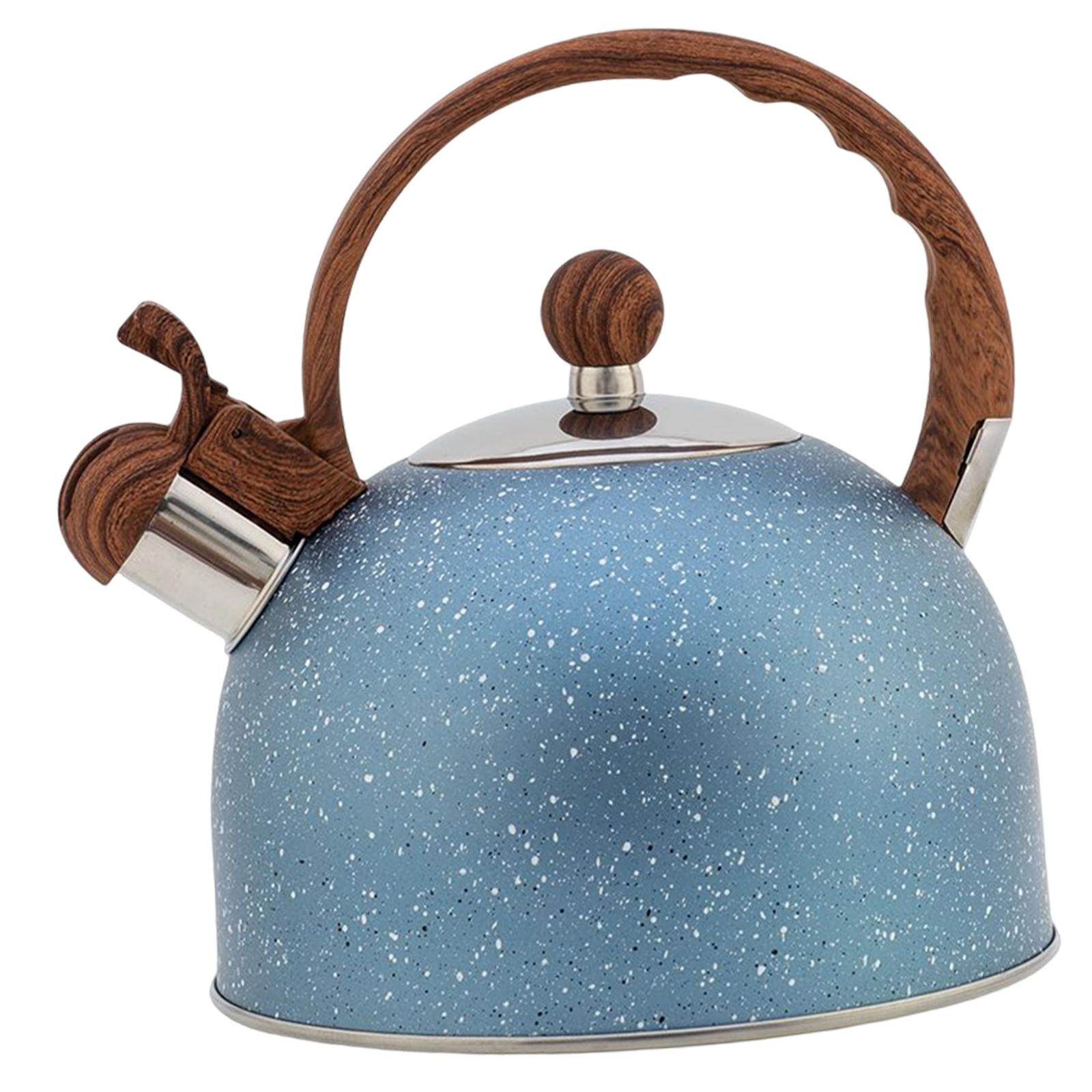 Bothyi - Hervidor De Té De Acero Inoxidable, Hervidor De Agua, Grado Alimenticio Para Té, Café, Leche, Etc.