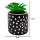 thumbnail image 3 of Planta Artificial Macetero Cerámica Negro Con Puntos Blancos, 3 of 3