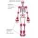 thumbnail image 3 of Libro Medmaster: Rheumatología Hecha Ridículamente Simple, 3 of 5