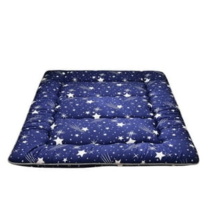 Pitaya - Colchoneta Colchon 2 Metros Esterilla Plegable Poliéster