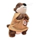 thumbnail image 2 of Nutria De Peluche De Juguete Decorativa Nutria Marina Muñeca De Peluche Para Adolescentes Niños Estilo D, 2 of 5