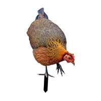 Ioensy - Estatua De Animal Estacas Escultura De Pollo Realista Para Patio Camino Césped Patio A