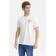 thumbnail image 2 of Polera Hombre Doble Print Blanco - lV, 2 of 4