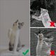thumbnail image 4 of Malla de pantalla XIZAO 122 cm × 254 cm Carbón a prueba de mascotas, 4 of 8