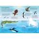 thumbnail image 3 of Y Puzzle - En El Océano (300 Piezas), 3 of 3
