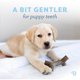 thumbnail image 2 of Mordedores para perros Benebone Puppy Maplestick Zaggler, 2 of 3