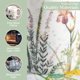 thumbnail image 3 of Taza de café Maison d'Hermine 425 ml (15 oz) con asa, 3 of 9