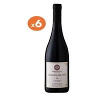 Barberis Family Wines - Vino Tradicion Del Itata País Caja 6X750Ml