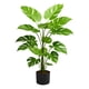 thumbnail image 2 of Planta Decorativa Artificial Moderna Interior Hogar Jhn, 2 of 3