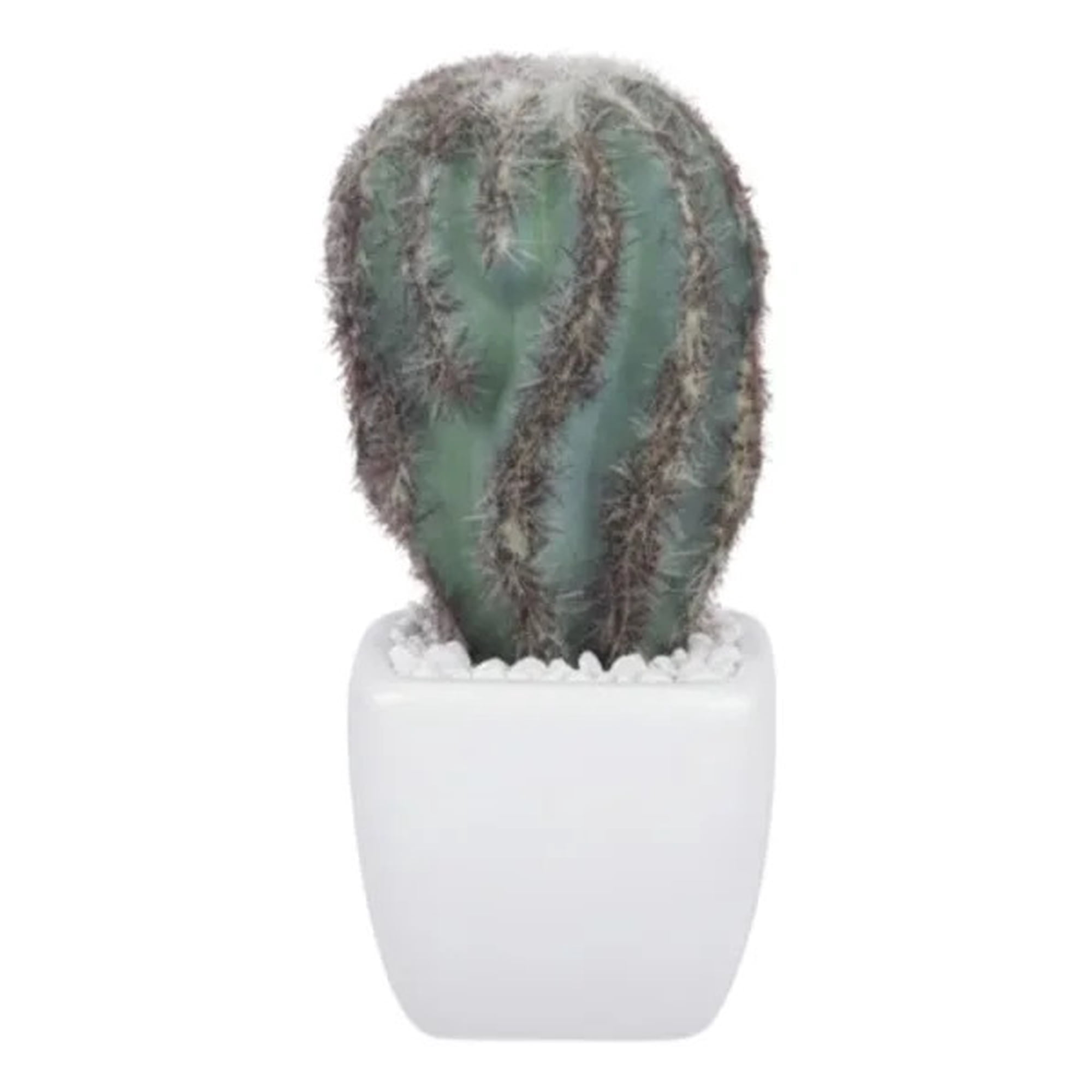 Genérico - Planta Artificial Cactus Mini Decorativo Minimalista Jhn