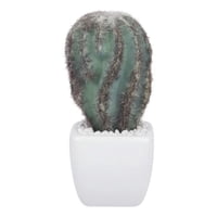 Genérico - Planta Artificial Cactus Mini Decorativo Minimalista Jhn
