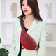 thumbnail image 5 of Riñonera Impermeable Para Mujer, Con Correa Ajustable, Ideal Para Viajes, Deportes, Correr, Festivales Y Actividades Al Aire Libre., 5 of 6