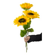 thumbnail image 2 of Ramos girasol artificiales 3 uds 60 cm, 2 of 3