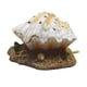 thumbnail image 1 of Decoración De Perlas De Concha De Acuario, Burbujeador De Piedra De Aire, Suministros De Decoración Para Paisajismo, 1 of 3