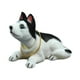 thumbnail image 5 of Bonito Cachorro De Perro Con Cabeza De Bobble, Perro Que Asiente Con La Cabeza Para El Adorno Del Salpicadero Del Coche, Husky, 5 of 5