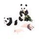 thumbnail image 5 of 4 Uds Panda Animal Ciclo De Vida Modelo Juguetes Educativos Fiesta Para Chico Niñas Niños Panda Ciclo De Crecimiento 1, 5 of 5