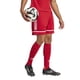 thumbnail image 3 of Pantalones cortos Adidas Squadra 25 Soccer para hombre, talla X-Small, rojo/blanco, 3 of 6